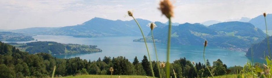 DINA Immobilien AG